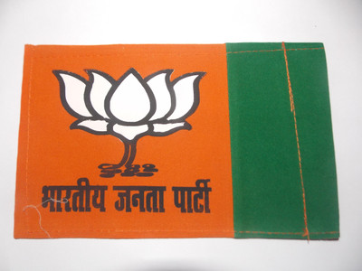 

Sheelaadmakers india Rectangle Pennant Flag Flag(Cotton)