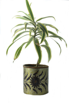 

Sarvsiddhi Plant Container(Metal, External Height - 12 cm), Silver