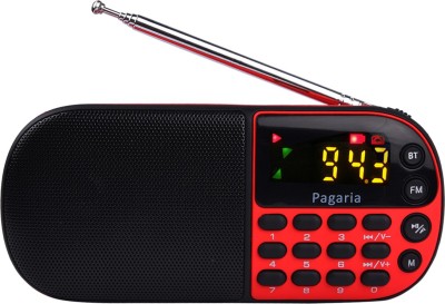 PAGARIA L837BT FM Radio