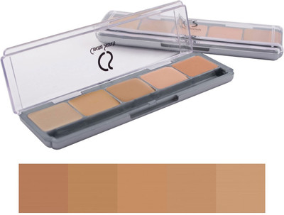 

Cinema Secrets Ultimate 5-In-1 Pro Palette, Kit #6 Foundation(Brown, Red)