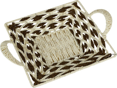 

Agastya Iron Fruit & Vegetable Basket(Multicolor)