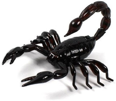 

Innovation 9992A Scorpion Gag Toy(Black)