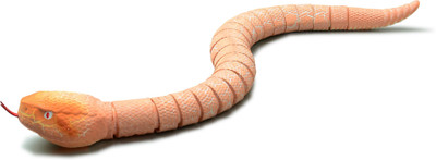 

Innovation 9909C Rattle Snake Gag Toy(Orange)