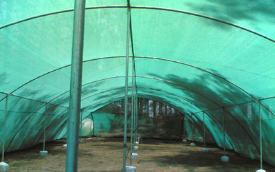 

SAM Agro Green Shade Net 50% 15Sqm (3 X 5) Garden Tool Kit(1 Tools)