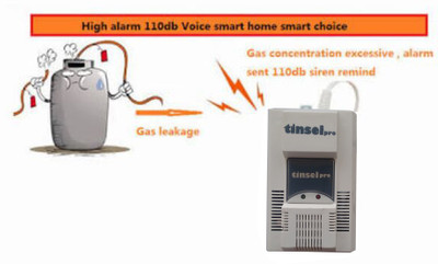 

Tinselpro TP-GLD Gas Detector