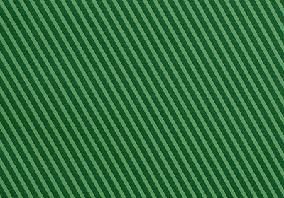 

Bdpp Paper Processers PP-VBE5 Lines Paper Gift Wrapper(Green)