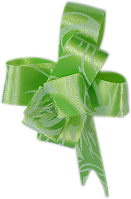 

Saamarth Impex SI-423 NA Plastic Gift Wrapper(Green)