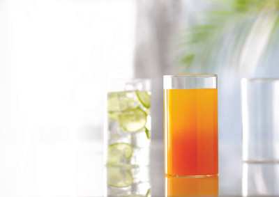 Borosil (Pack of 6) Vision Glass Large - 350ml set of 6 Glass Set(350 ml, Glass)