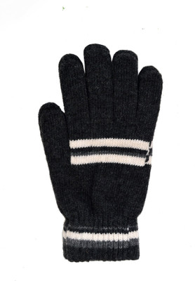 

Vinenzia Striped Winter Men's Gloves, Anthra