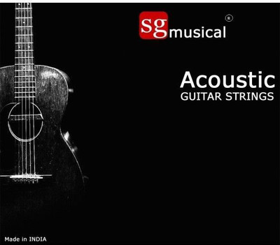 SG MUSICAL Acoustic ALICE 741 Guitar String(6 Strings)