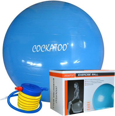 

COCKATOO Ball-75 Gym Ball(With Pump), Blue;white