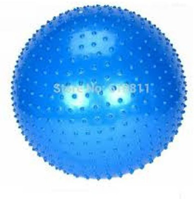 

Orchid Physio Spiky Ball Massage Ball(Pack of 1, Blue)