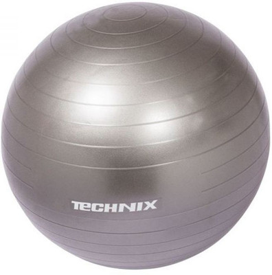 

Technix Physio Ball Gym Ball, Silver