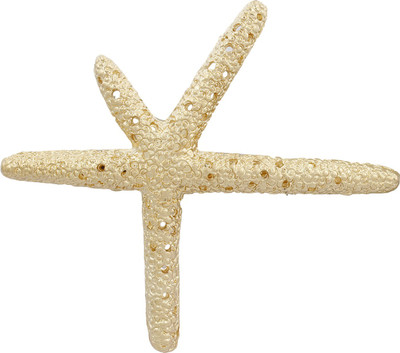 

Blueberry Star Fish Motif Hair Clip(Gold)