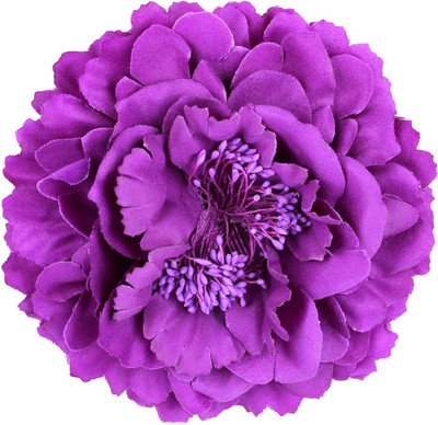 

ILU Broach Metal Flower Bun Clip Bun Band Beauty Styling Hair Accessories Jewellery Fashion Wedding Bridal Party Women Girl Ladies Bun Clip, Hair Band, Hair Clip, Bun, Head Band, Hair Pin, Back Pin(Purple)
