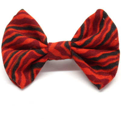 

Eternz BroochPin and Hairband Hair Pin(Multicolor)