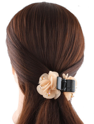 

Anuradha Art ZBF-250 Hair Clip(Brown)