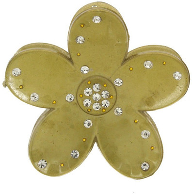 

Anuradha Art BF-519 Hair Clip(Gold)