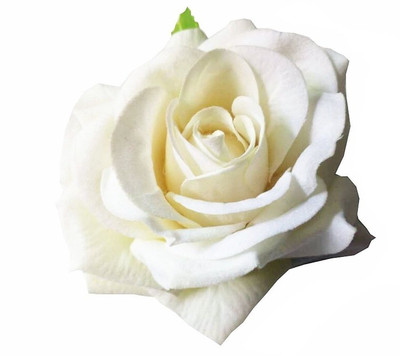 

Sanjog White Vintage Rose Flower Women Brooch Pin Hair Clip(White)