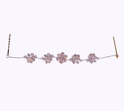 

SGS Products Princess delight Hair Pin(Gold)