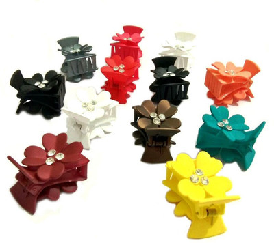 

OBEROI TRENDY Hair Clip(Multicolor)