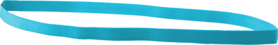 

Pink Flamingo Thin Antislip Head Band(Blue)