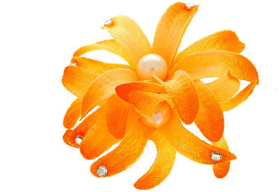 

Anuradha Art Fancy Hair Clip(Pink)
