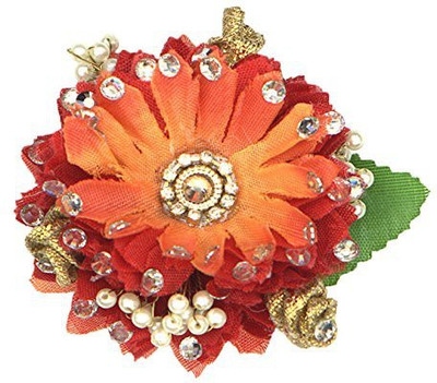 

AmberRoze Clip Hair Clip(Multicolor)