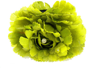 

Anuradha Art Stylish Hair Clip(Green)