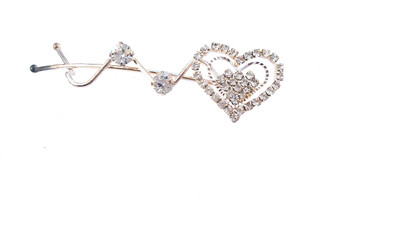 

BinnG dil Hair Pin(Silver)