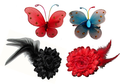 

Bellazaara Floral Style Tic-Tac Hair Accessory Set(Multicolor)