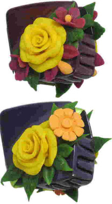 

Advanc Hotline Porcelain clay work fancy hair clutcher (Combo of 2) Hair Clip(Multicolor)