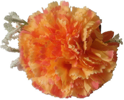

Viva Fashions Flower Hair Clip(Orange)