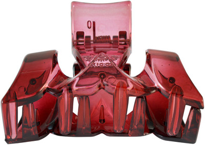 

Sarah Stylish Hair Claw(Pink)