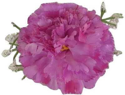 

Viva Fashions Flower Bunch Hair Clip(Purple)