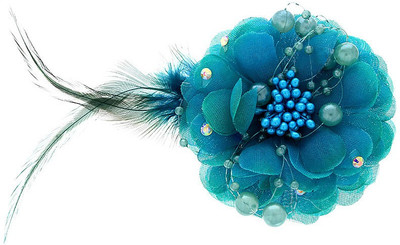 

Anuradha Art Fancy Hair Clip(Blue)