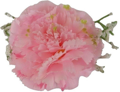 

Viva Fashions Flower Bunch Hair Clip(Pink)