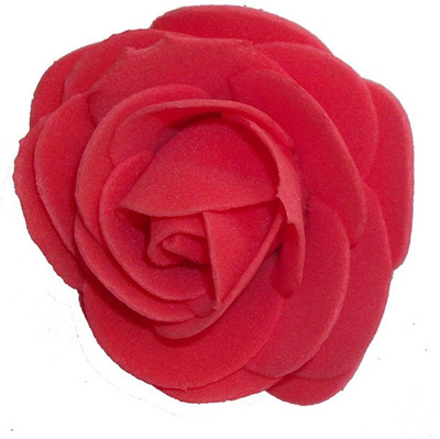 

Y & J Red Hair Clip(Red)