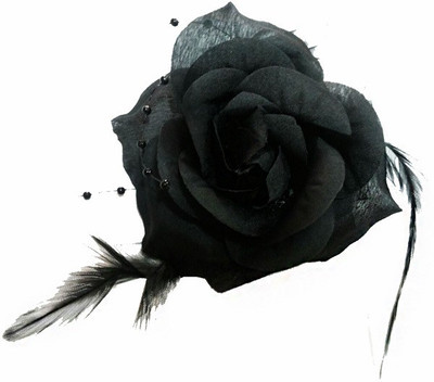 

OPC Beautiful Floral 3 in 1 Accessory Hair Clip(Black)