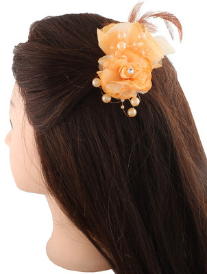 

Anuradha Art Graceful & Beautiful Hair Clip(Orange)