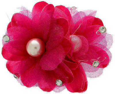 

Anuradha Art Fancy Hair Clip(Orange)