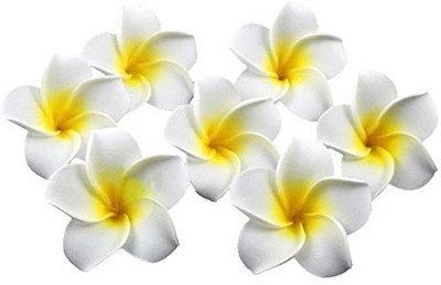 

Healthcom Healthcom Premium Hawaiian Foam Flower White Artificial Plumeria Rubra For Beach,Wedding Party Decoration,Package of 100 Hair Accessory Set(Multicolor)