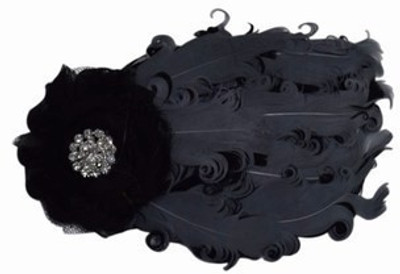 

Pinkblueindia Feather Baby with Diamond Embellishment Head Band(Black)