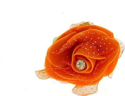 

Anuradha Art ZHP-211 Hair Pin(Orange)
