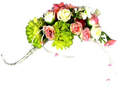 

AmberRoze FPC004 Hair Clip(Multicolor)