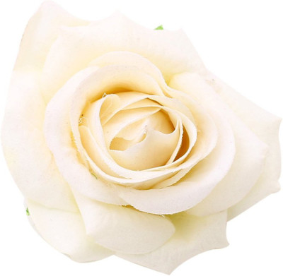 

Sanjog Pretty Velvet White Rose Flower Pin Brooch For Kids/Girls Hair Clip(White)