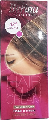 

Berina Cream Hair Color(A24 Magenta)