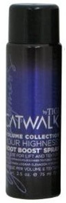 

Bed Head Tigi Catwalk Your Highness Root Boost Spray Serum(75 ml)