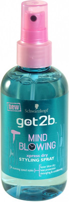 

Schwarzkopf got2b mind blowing express dry styling spray with heat protection Hair Styler