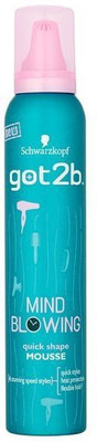 

Schwarzkopf Mind Blowing Hair Styler